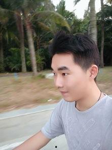 bie所有资料,技术、应用与未来展望