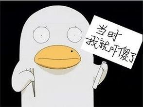 搞笑的动漫名字,那些让人捧腹大笑的名字揭秘
