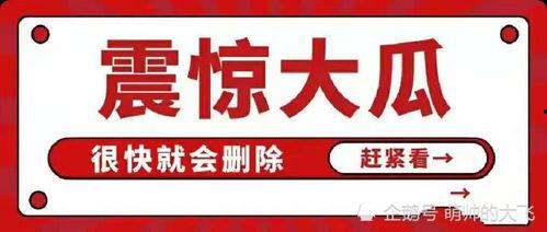 吃瓜网娱乐八卦图