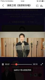 明星话筒品牌